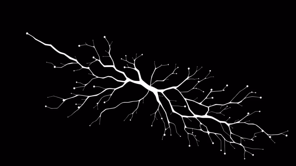 Neuronale Netze und kreative Prozesse in der KI