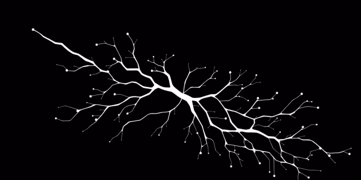 Neuronale Netze und kreative Prozesse in der KI