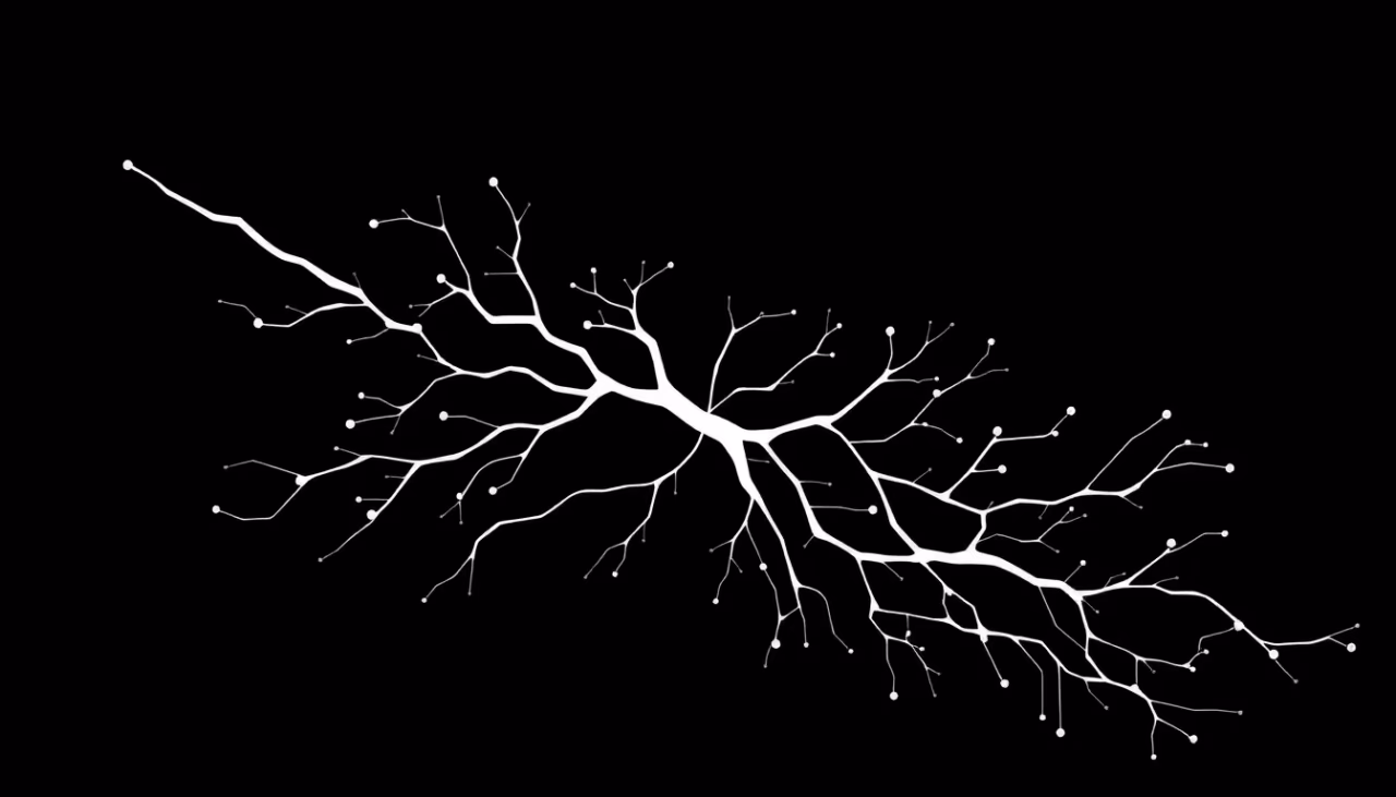 Neuronale Netze und kreative Prozesse in der KI