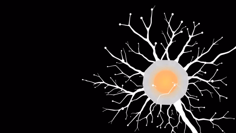 Technische Illustration von neuronalen Interpretationstechniken