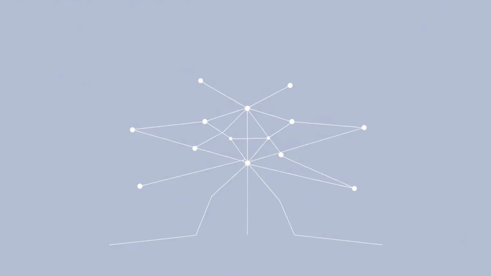 Technische Darstellung der adaptiven Netzwerkoptimierung
