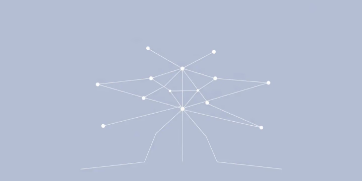 Technische Darstellung der adaptiven Netzwerkoptimierung