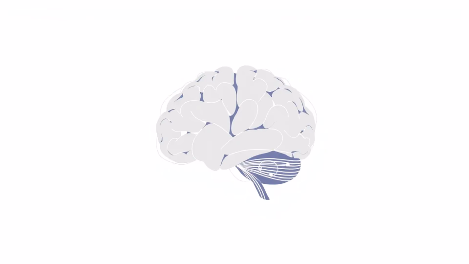 Technische Darstellung der neuronalen Dynamik in KI