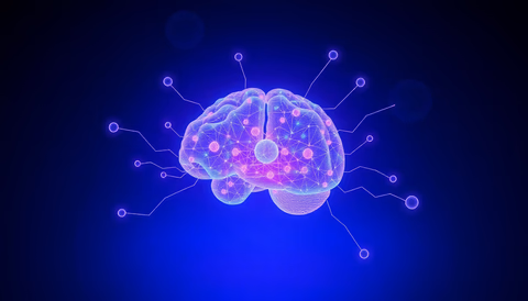 Abb. eines neuronalen Netzwerks und dessen Interaktionen