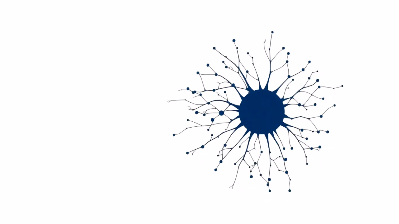 Technische Darstellung der neuronalen Netzwerk Interpretierbarkeit