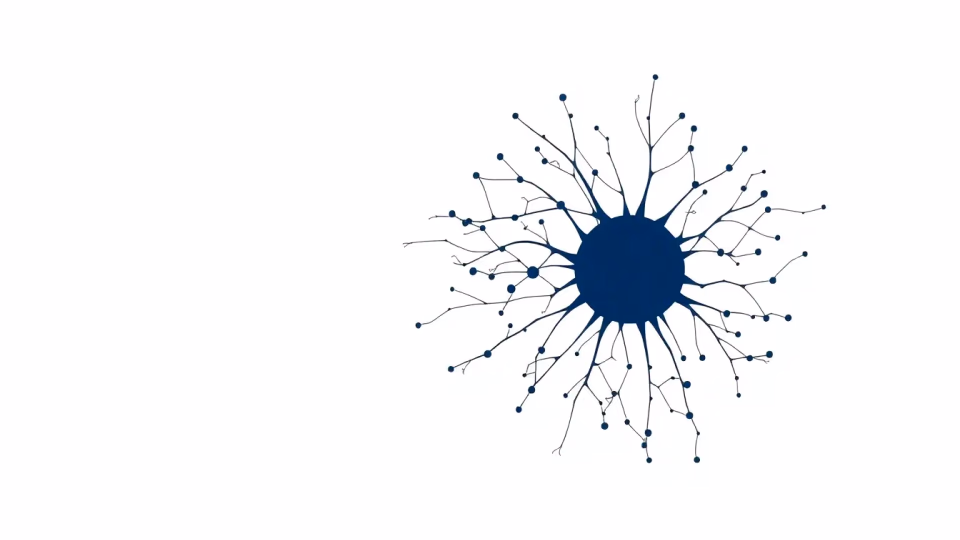 Technische Darstellung der neuronalen Netzwerk Interpretierbarkeit
