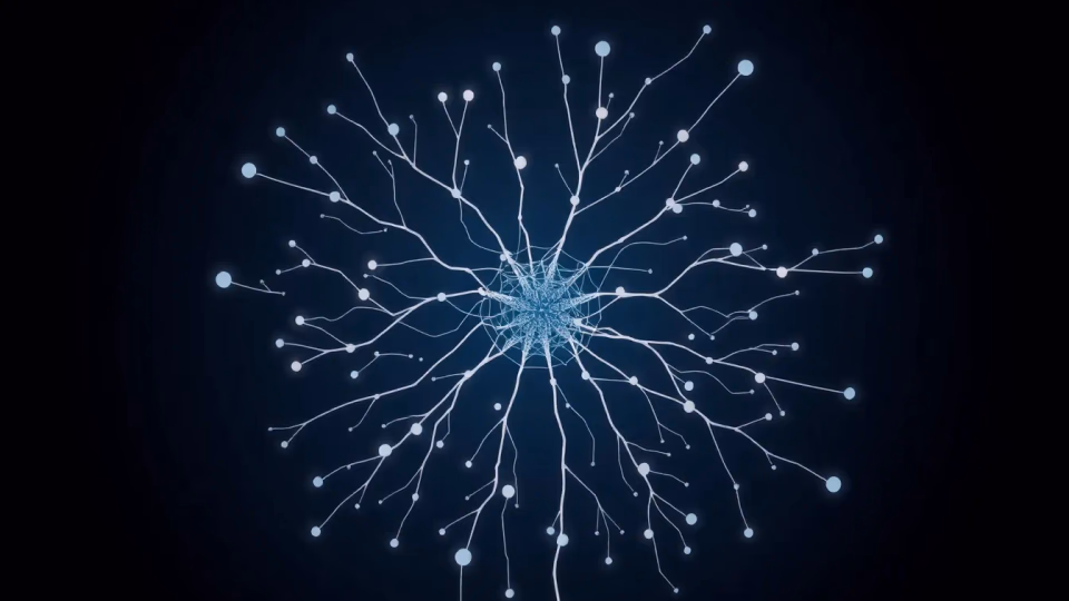 Technische Illustration zur neuronalen Netzwerk-Vertretbarkeit